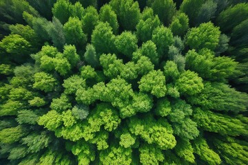 Fototapeta premium Background