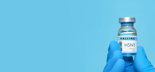 A doctor in blue gloves holding a bottle with vaccine vial of H5N1.Bird flu vaccine. The concept of...