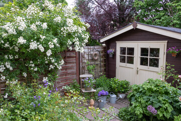 Gartenszene im Fr&uuml;hsommer mit Kletterrose 'Guirlande d'Amour', und einem Gartenhaus