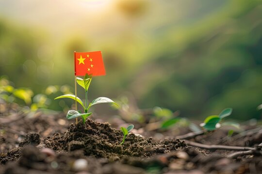 A miniature Chinese flag stuck in the ground, next to it a young growing plant., the concept of the growing importance of China and the Chinese economy.