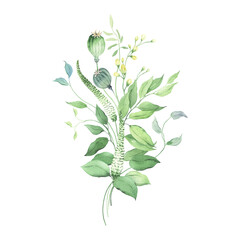Floral bouquet with delicate green branches and plants. Watercolor isolated illustration with design elements for invitation or greeting cards.