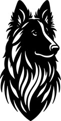 Fototapeta premium Belgian Shepherd3