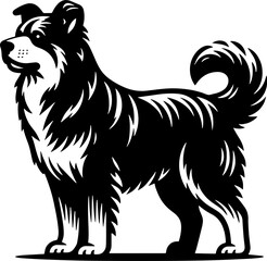 Obraz premium Aspin Dog2