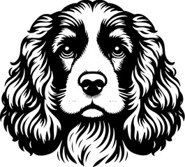 Fototapeta premium American Cocker Spaniel11