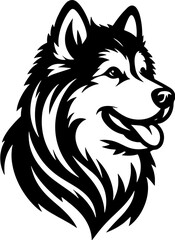 Fototapeta premium Alaskan Malamute2