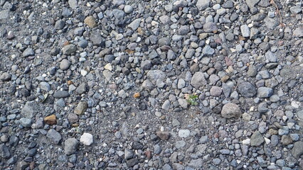 Gray small rocks ground texture. black small road stone background. Texture of small gray stones as background.