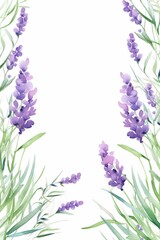 Naklejka premium lavender themed frame or border for photos and text.delicate purple flowers and green stems. watercolor illustration, Perfect for nursery art, simple clipart, single object, white color background. 