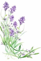 Naklejka premium lavender themed frame or border for photos and text.delicate purple flowers and green stems. watercolor illustration, Perfect for nursery art, simple clipart, single object, white color background. 