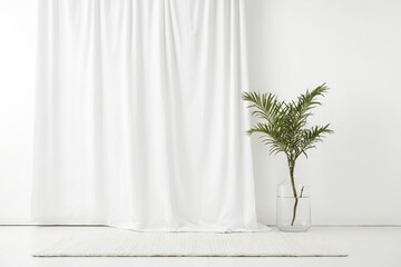 White Room with Palm Plant and Rug