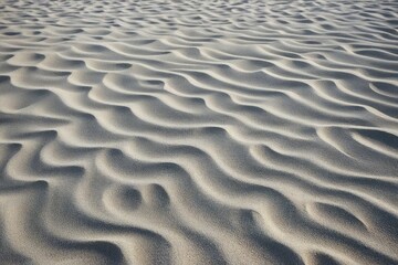 Obraz premium ripples in the sand
