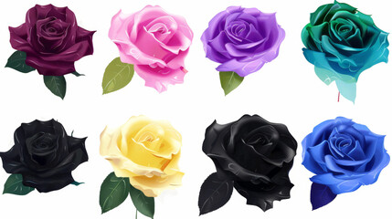 rose set in different colors