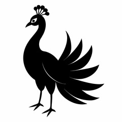 Fototapeta premium Peacock silhouette on white background