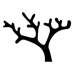 coral icon transparent background