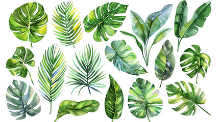 Fototapeta premium Green leaves of different plants on a black background.