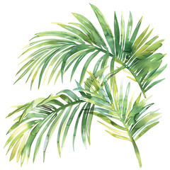 Naklejka premium Green palm leaves.