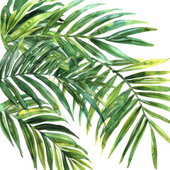 Green palm leaves.