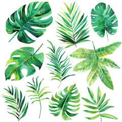Set of watercolor hand drawn tropical leaves. Perfect for wedding invitations, greeting cards, posters and more.
