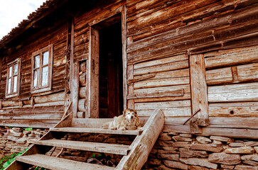 Cheese factory. Ukrainian Carpathians. An old wooden cheesemaker's house