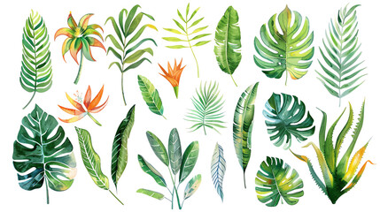Fototapeta premium The image shows a variety of leaves of different plants.