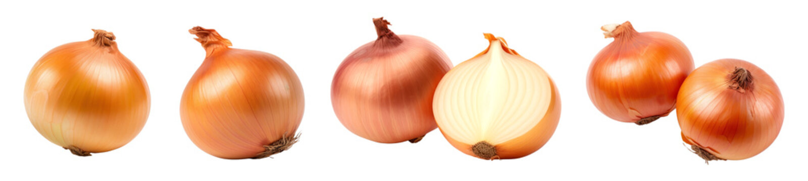 Onion png element set on transparent background