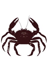 A single black crab sitting on a white background, perfect for use in food or marine-themed designs