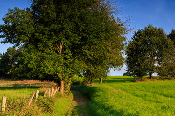 poranek © Christoph-fotografia