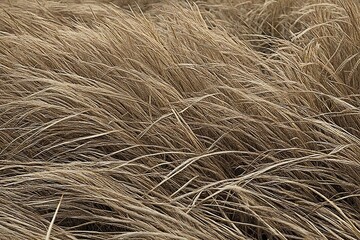 close up of hay bale