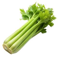Fresh celery stalk isolated on white background.