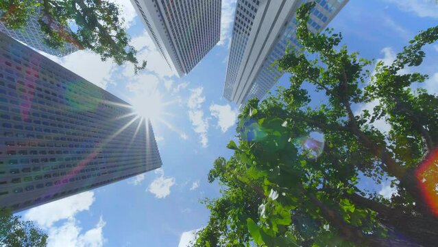 都会の日差しと青空と高層ビル
