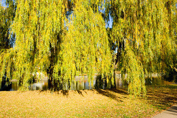 Freundschaftsinsel in Potsdam