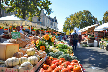 Vibrant Bastille Day Farmers Market