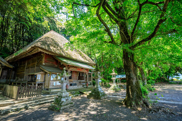 初夏の水堂安福寺 観音堂　佐賀県白石町　Mizudo Anpukuji Temple in early summer. Kannondo. Saga Pref, Shiraishi town.