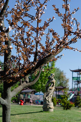 Ukraine, Sakura Island landscape park. Beuatiful  landscape, sakura tree and statue in sunny day. Landscaping, Japanese style