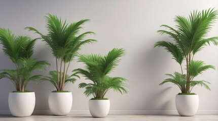 Potted small palm trees, perfect for creating a mini tropical oasis at home