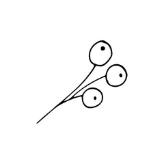 Hand-drawn simple floral branch. Twig with berries.  Doodle element, isolated on white background