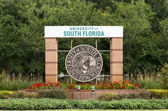 Tampa, FL, USA - May 29, 2024: The University of South Florida is a public research university with their main campus in Tampa, FL. Their mascot is the Bulls.