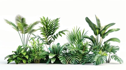 A vibrant collection of green tropical plants with various leaf shapes, displayed on a white background, perfect for nature and garden themes.