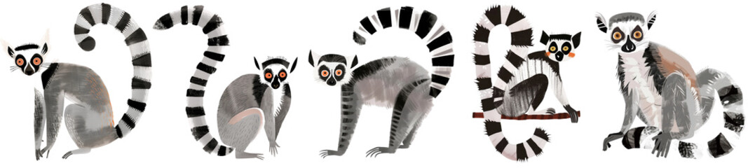 Obraz premium cute lemur animal illustration set