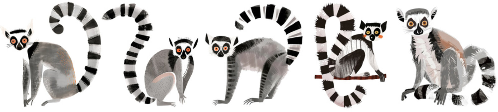 cute lemur animal illustration set