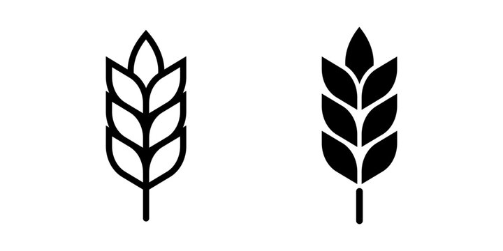 Wheat icon. Durum symbol. Cereal vector illustration. Harvest sign. Natural nourishment organic pictogram.