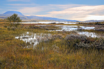 Autumn in the Forollhogna national park, Norway