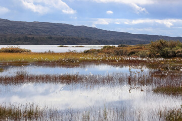Autumn in the Forollhogna national park, Norway
