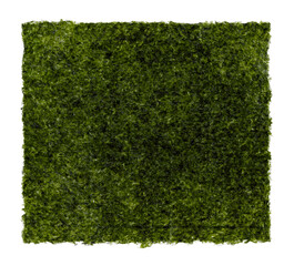 Green nori sheet isolated on white background
