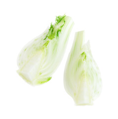 Fresh fennel pieces isolated on white background. Top view