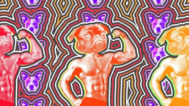 Seamless young animation of cartoon style dog head bodybuilder with wave echo and halftone effect effect. Animation fashion design. Stop motion contemporary photo montage art collage background.