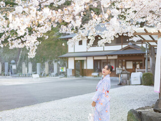 Beautifull tourist girl, happy with cherry blossom at Gokoku Shrine in Kyoto Japan.