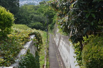 山の中の細い道3