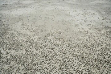 Fototapeta premium concrete wall texture