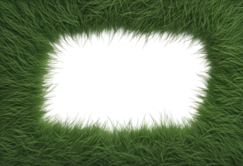 Bermuda grass border front top view transparent background with copy space in center
