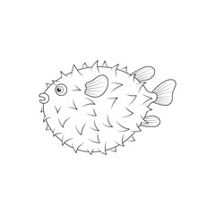Pufferfish. Vector black and white illustration. Coloring.